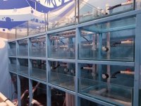 FISHTANK-FULL-SYSTEM-2.jpg