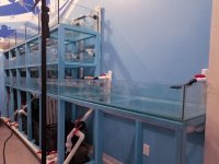 FISHTANK-FULL-SYSTEM-1.jpg