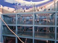 FISHTANK-SYSTEM-ONE-1.jpg