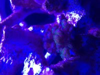 3190F84E-E897-4B41-B31D-6159E89D5D1C.jpg