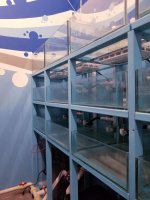 FISHTANK-SYSTEM-ONE-2.jpg
