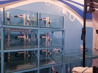 FISHTANK-SYSTEM-TWO-1.jpg