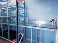 FISHTANK-SYSTEM-TWO-2.jpg