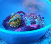 20181124_012743.jpg