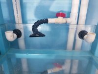 FISHTANK-20-GAL-2.jpg