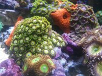IMG_20180419_202553.jpg
