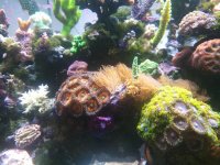 IMG_20180419_202543.jpg