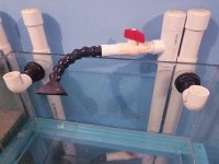 FISHTANK-30-GAL-3.jpg