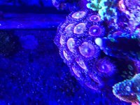 890FFCAE-CB26-4B13-A504-A3B3E1C1D473.jpg