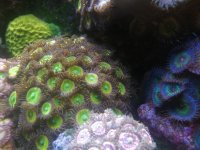 IMG_20180419_202537.jpg