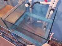 FISHTANK-30-GAL-4.jpg