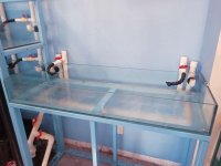 FISHTANK-50-GAL-1.jpg