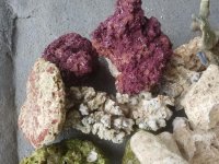 20180907_163034.jpg