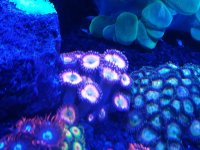 IMG_20180419_202141.jpg