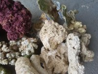 20180907_163041.jpg
