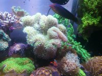 IMG_20180419_203435.jpg