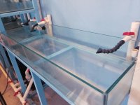 FISHTANK-50-GAL-2.jpg