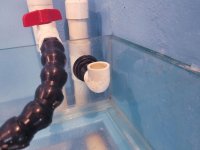 FISHTANK-50-GAL-3.jpg