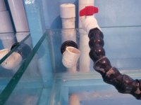 FISHTANK-50-GAL-4.jpg