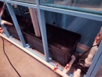 FISHTANK-SUMP-1.jpg