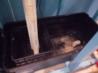 FISHTANK-SUMP-2.jpg