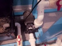 FISHTANK-SUMP-3.jpg