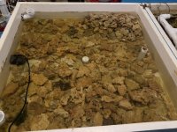 FISHTANK-LIVE-ROCK-1.jpg