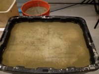 FISHTANK-LIVE-SAND-1.jpg