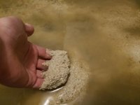 FISHTANK-LIVE-SAND-2.jpg