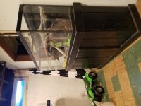 20180203_091626.jpg