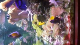 20180124_140913.jpg