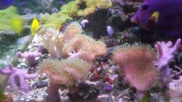 20180124_140820.jpg