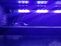 20170926_161046.jpg