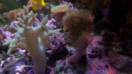 20180421_131414.jpg