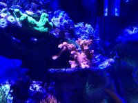 D5447A33-5C87-4A9E-99DB-59272F825E9B.jpg