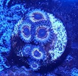 20181125_174139.jpg