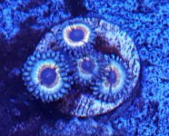 20181125_174212.jpg