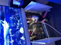 25B31207-38D8-45BC-A19F-3C61AFA9B46B.jpg