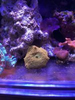 20180201_191334-1.jpg