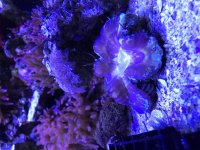 IMG_0295.jpg
