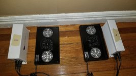 20180204_104633.jpg