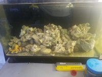 20170527_201515.jpg