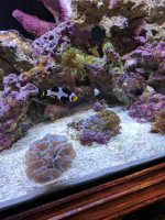 IMG_20170528_171648.jpg