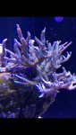 IMG_4419.jpg
