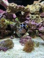 IMG_20170528_171517.jpg