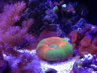 IMG_3442.jpg