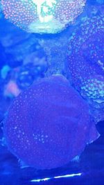 Screenshot_2017-11-07-16-58-43.jpg