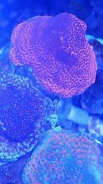 Screenshot_2017-11-07-16-58-58.jpg
