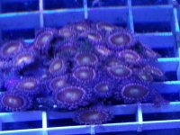 20170812_151503.jpg