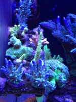 IMG_4183.jpg